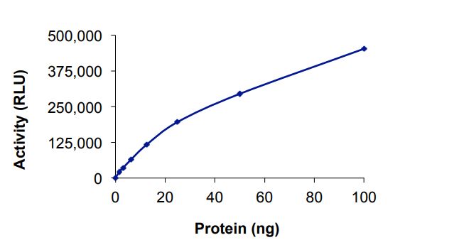 Recombinant human EGFR (mutated T790F + L792F + C797S + L858R) protein (Active)
