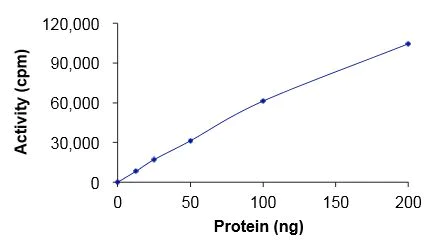 Functional Studies - Recombinant human EGFR (mutated T790M + C797S + L858R) protein (Active) (AB223159)