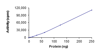 Functional Studies - Recombinant human EGFR (mutated T790M + C797S + L858R) protein (Active) (AB223159), expandable thumbnail