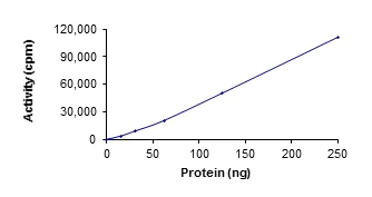 Functional Studies - Recombinant human EGFR (mutated T790M + C797S + L858R) protein (Active) (AB223159)