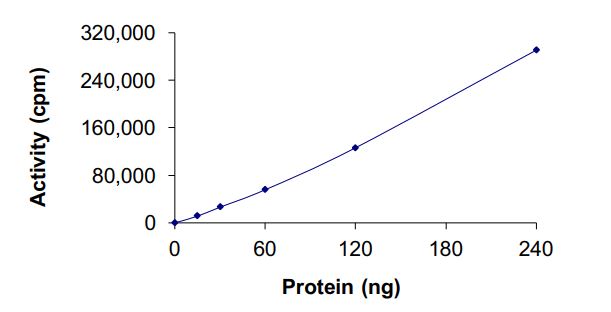Recombinant human EGFR (mutated T790M + C797S) protein (Active)