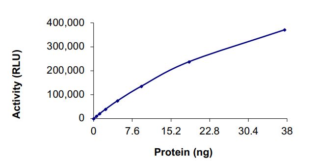 Functional Studies - Recombinant human EGFR (mutated T790M + L792F + L858R) protein (AB268509), expandable thumbnail