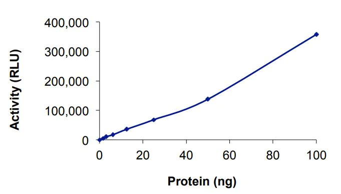 Functional Studies - Recombinant human EGFR (mutated T790M + L792H + C797S + L858R) protein (Active) (AB268510)