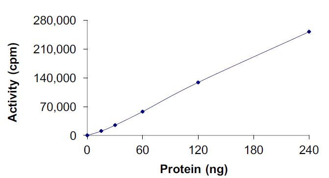 Recombinant human EGFR (mutated T790M + L858R) protein (Active)