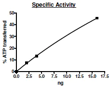 Functional Studies - Recombinant human EGFR (mutated T790M + L858R) protein (Active) (AB271495)