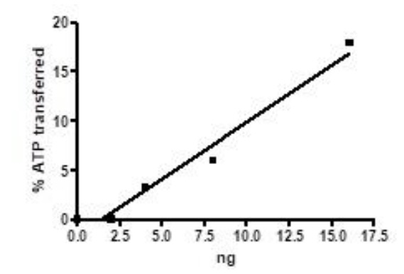 Recombinant human EGFR (mutated T790M) protein (Active)