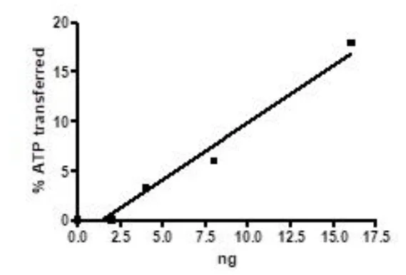 Functional Studies - Recombinant human EGFR (mutated T790M) protein (Active) (GST N-Terminus + 6x His tag C-Terminus) (AB271493)