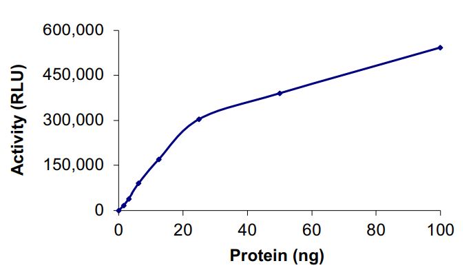 Recombinant human EGFR (N771-P772insH) protein (Active)