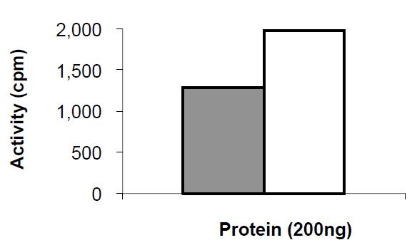 Functional Studies - Recombinant human EGFR protein (A767_S768insTLA) (Tagged) (AB268456), expandable thumbnail