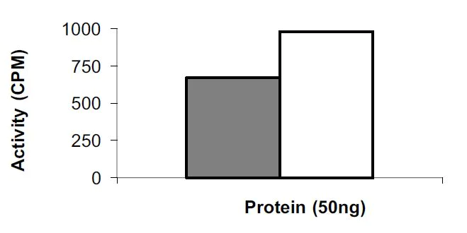 Functional Studies - Recombinant human EGFR protein (AB268514)