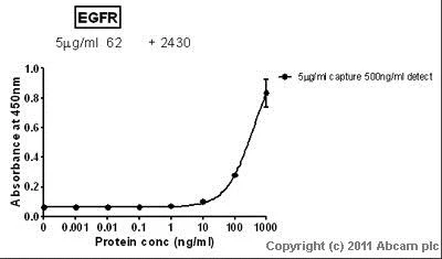 Sandwich ELISA - Recombinant human EGFR protein (AB61264)