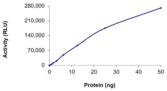 Functional Studies - Recombinant human EGFR protein (Active) (AB268518)