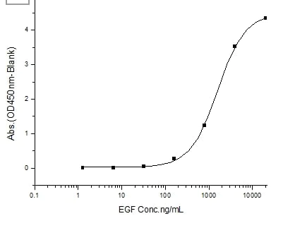 Functional Studies - Recombinant human EGFR protein (Fc Chimera) (AB276191)