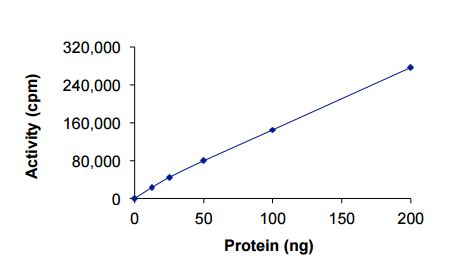 Functional Studies - Recombinant human EGFR protein (Mutant) (AB208473), expandable thumbnail