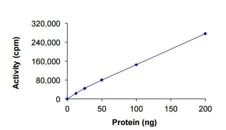 Functional Studies - Recombinant human EGFR protein (Mutant) (GST tag N-Terminus) (AB208473)