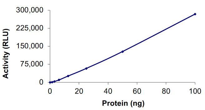 Recombinant human EGFR protein (V769_D770insGE) (Active)