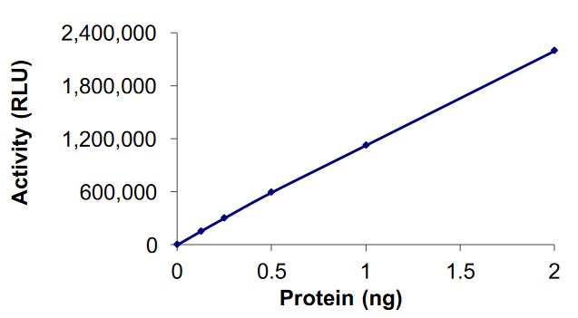 Recombinant human EHMT1/GLP protein (Active)