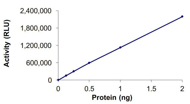 Functional Studies - Recombinant human EHMT1/GLP protein (Active) (AB268519)