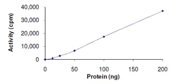 Functional Studies - Recombinant human EHMT2/G9A protein (AB167966), expandable thumbnail