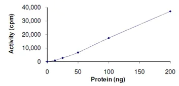 Functional Studies - Recombinant human EHMT2/G9A protein (AB167966)