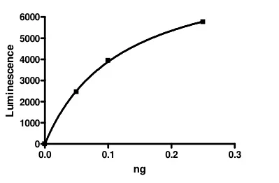 Functional Studies - Recombinant human EHMT2/G9A protein (AB198156)