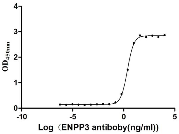 Recombinant human ENPP3/B10 protein - Active (His tag)