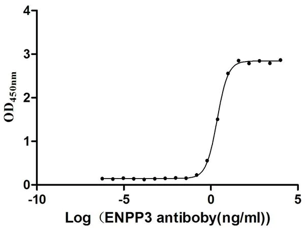 Functional Studies - Recombinant human ENPP3/B10 protein - Active (His tag) (AB314534)