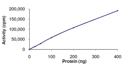 Functional Studies - Recombinant human Eph receptor A1/EphA1 protein (AB101778)