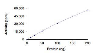 Functional Studies - Recombinant human Eph receptor A1/EphA1 protein (AB206006), expandable thumbnail