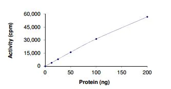 Functional Studies - Recombinant human Eph receptor A1/EphA1 protein (AB206006)