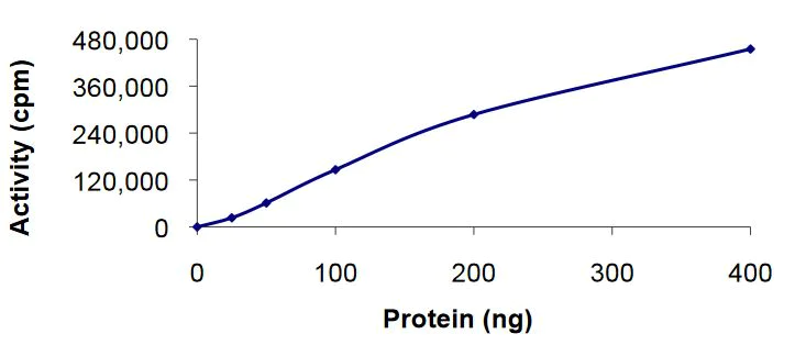 Functional Studies - Recombinant human Eph receptor A2 protein (Active) (AB268528)
