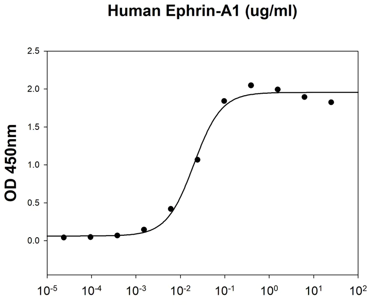 Functional Studies - Recombinant human Eph receptor A2 protein (His tag) (AB222423)