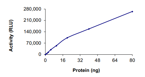 Functional Studies - Recombinant human Eph receptor A3 protein (AB84576), expandable thumbnail
