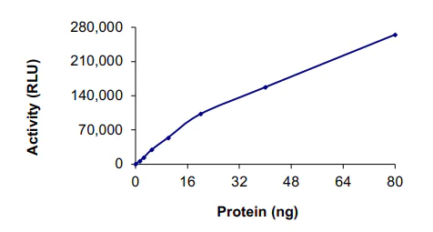 Functional Studies - Recombinant human Eph receptor A3 protein (AB84576)