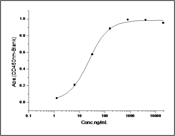 Recombinant human Eph receptor A3 protein (His tag)