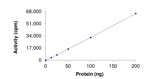 Functional Studies - Recombinant human Eph receptor A4/SEK protein (AB206013), expandable thumbnail
