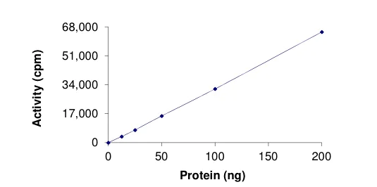 Functional Studies - Recombinant human Eph receptor A4/SEK protein (AB206013)