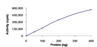 Functional Studies - Recombinant human Eph receptor A4/SEK protein (AB84575)