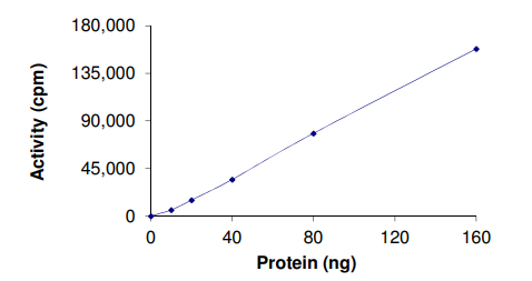 Functional Studies - Recombinant human Eph receptor A4/SEK protein (AB84575)