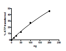 Recombinant human Eph receptor A4/SEK protein (Active)