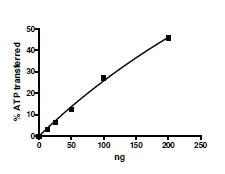 Functional Studies - Recombinant human Eph receptor A4/SEK protein (Active) (GST tag N-Terminus) (AB271498)