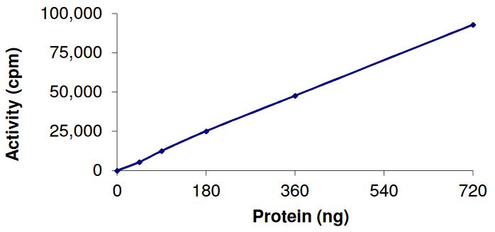 Recombinant human Eph receptor A6 protein (Active)