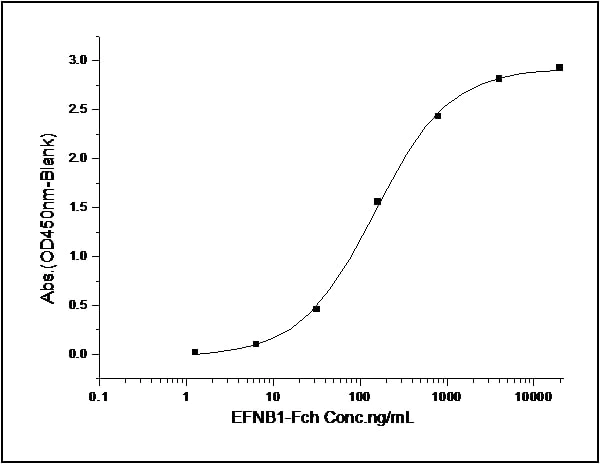 Functional Studies - Recombinant human Eph receptor B1/NET protein (His tag) (AB276448)
