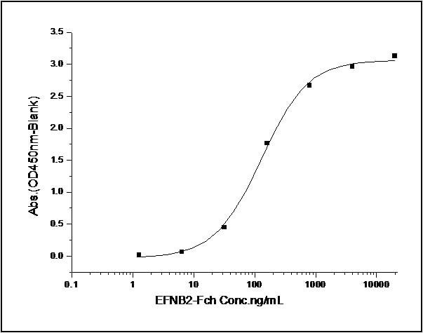 Functional Studies - Recombinant human Eph receptor B1/NET protein (His tag) (AB276448)