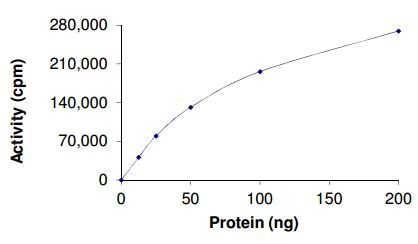 Functional Studies - Recombinant human Eph receptor B2 protein (AB205990)