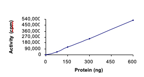 Functional Studies - Recombinant human Eph receptor B2 protein (AB60851)