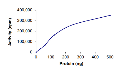 Functional Studies - Recombinant human Eph receptor B3 protein (AB51409), expandable thumbnail
