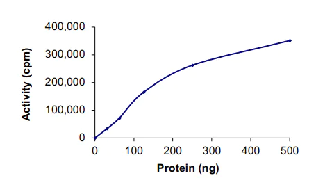 Functional Studies - Recombinant human Eph receptor B3 protein (AB51409)