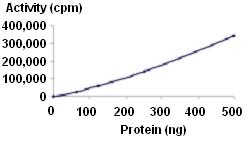 Functional Studies - Recombinant human Eph receptor B3 protein (AB51409), expandable thumbnail