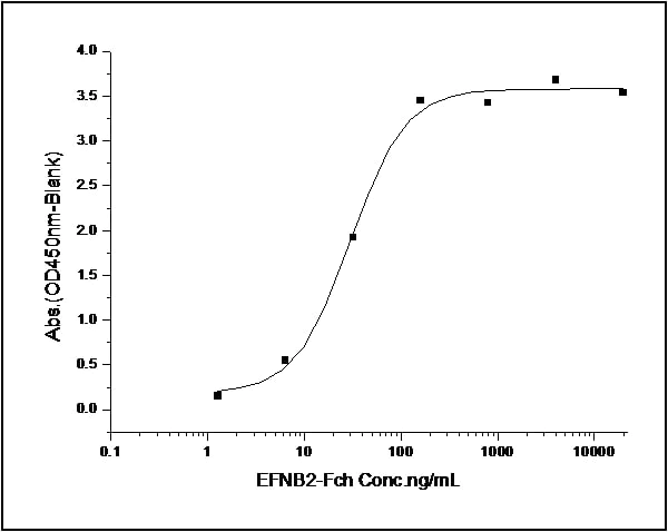 Functional Studies - Recombinant human Eph receptor B6 protein (His tag) (AB276223)